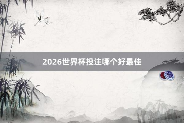 2026世界杯投注哪个好最佳