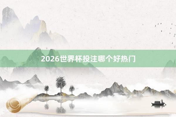 2026世界杯投注哪个好热门