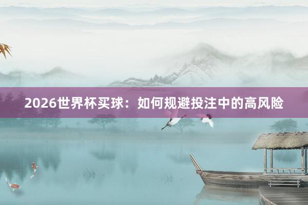 2026世界杯买球：如何规避投注中的高风险