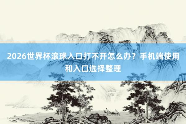 2026世界杯滚球入口打不开怎么办？手机端使用和入口选择整理