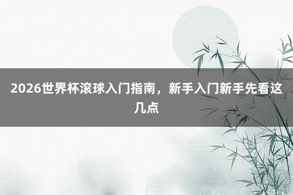2026世界杯滚球入门指南，新手入门新手先看这几点
